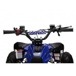 GMX 110cc The Beast Sports Quad Bike - Blue GMX 110cc The Beast Sports Quad Bike - Blue