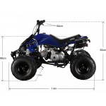 GMX 110cc The Beast Sports Quad Bike - Blue GMX 110cc The Beast Sports Quad Bike - Blue