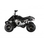 GMX 110cc The Beast Sports Quad Bike - Black GMX 110cc The Beast Sports Quad Bike - Black