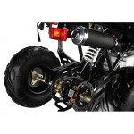 GMX 110cc The Beast Sports Quad Bike - Black GMX 110cc The Beast Sports Quad Bike - Black