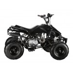 GMX 110cc The Beast Sports Quad Bike - Black GMX 110cc The Beast Sports Quad Bike - Black