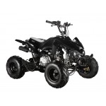 GMX 110cc The Beast Sports Quad Bike - Black GMX 110cc The Beast Sports Quad Bike - Black