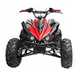 GMX 125cc The Beast Sports Quad Bike - Red GMX 125cc The Beast Sports Quad Bike - Red