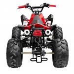 GMX 125cc The Beast Sports Quad Bike - Red GMX 125cc The Beast Sports Quad Bike - Red
