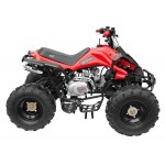 GMX 125cc The Beast Sports Quad Bike - Red GMX 125cc The Beast Sports Quad Bike - Red