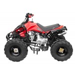 GMX 125cc The Beast Sports Quad Bike - Red GMX 125cc The Beast Sports Quad Bike - Red