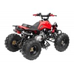 GMX 125cc The Beast Sports Quad Bike - Red GMX 125cc The Beast Sports Quad Bike - Red