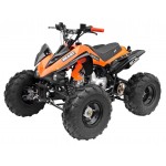 GMX 125cc The Beast Sports Quad Bike - Orange GMX 125cc The Beast Sports Quad Bike - Orange