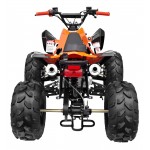 GMX 125cc The Beast Sports Quad Bike - Orange GMX 125cc The Beast Sports Quad Bike - Orange