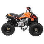 GMX 125cc The Beast Sports Quad Bike - Orange GMX 125cc The Beast Sports Quad Bike - Orange