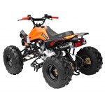 GMX 125cc The Beast Sports Quad Bike - Orange GMX 125cc The Beast Sports Quad Bike - Orange