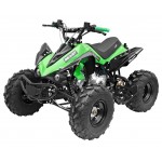 GMX 125cc The Beast Sports Quad Bike - Green GMX 125cc The Beast Sports Quad Bike - Green