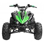 GMX 125cc The Beast Sports Quad Bike - Green GMX 125cc The Beast Sports Quad Bike - Green