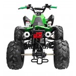 GMX 125cc The Beast Sports Quad Bike - Green GMX 125cc The Beast Sports Quad Bike - Green
