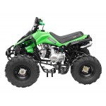 GMX 125cc The Beast Sports Quad Bike - Green GMX 125cc The Beast Sports Quad Bike - Green