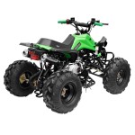 GMX 125cc The Beast Sports Quad Bike - Green GMX 125cc The Beast Sports Quad Bike - Green