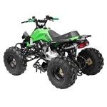 GMX 125cc The Beast Sports Quad Bike - Green GMX 125cc The Beast Sports Quad Bike - Green