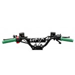 GMX 125cc The Beast Sports Quad Bike - Green GMX 125cc The Beast Sports Quad Bike - Green
