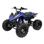 GMX 125cc The Beast Sports Quad Bike - Blue