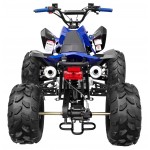 GMX 125cc The Beast Sports Quad Bike - Blue
