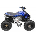 GMX 125cc The Beast Sports Quad Bike - Blue