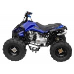 GMX 125cc The Beast Sports Quad Bike - Blue