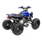 GMX 125cc The Beast Sports Quad Bike - Blue