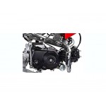 GMX 50cc Chip Kids Dirt Bike - Red GMX 50cc Chip Kids Dirt Bike - Red