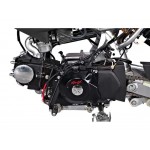 GMX 50cc Chip Kids Dirt Bike - Black