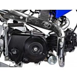 GMX 50cc Chip Kids Dirt Bike - Blue