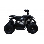 GMX Chaser 60cc 4 Stroke Quad Bike - Black GMX Chaser 60cc 4 Stroke Quad Bike - Black