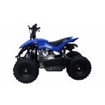 GMX Chaser 60cc 4 Stroke Quad Bike - Blue GMX Chaser 60cc 4 Stroke Quad Bike - Blue