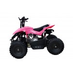 GMX Chaser 60cc 4 Stroke Quad Bike - Pink GMX Chaser 60cc 4 Stroke Quad Bike - Pink