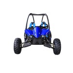 GMX 150cc GKT150 Dune Buggy - Blue GMX 150cc GKT150 Dune Buggy - Blue