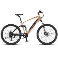 DUAL SUSPENSION BIKES