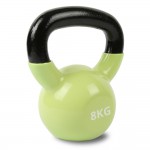 Lifespan Cortex Cast Iron Kettlebell 8kg