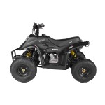 GMX 110cc Ripper-X Junior Kids Quad Bike - Black