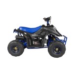 GMX 110cc Ripper-X Junior Kids Quad Bike - Black / Blue GMX 110cc Ripper-X Junior Kids Quad Bike - Black / Blue
