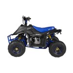 GMX 110cc Ripper-X Junior Kids Quad Bike - Black / Blue GMX 110cc Ripper-X Junior Kids Quad Bike - Black / Blue