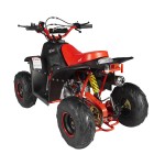 GMX 110cc Ripper-X Junior Kids Quad Bike - Black / Red GMX 110cc Ripper-X Junior Kids Quad Bike - Black / Red