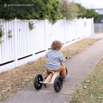 Lifespan Scout 2-in-1 Balance Bike & Trike Lifespan Scout 2-in-1 Balance Bike & Trike