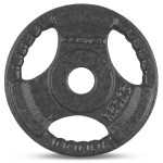 Lifespan CORTEX 1.25kg Tri-Grip 25mm Standard Plates (Set of 4) Lifespan CORTEX 1.25kg Tri-Grip 25mm Standard Plates (Set of 4)