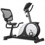 LSG RB-2 Recumbent Bike LSG RB-2 Recumbent Bike