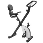 Lifespan EXER-11 Folding Exercise Bike Lifespan EXER-11 Folding Exercise Bike