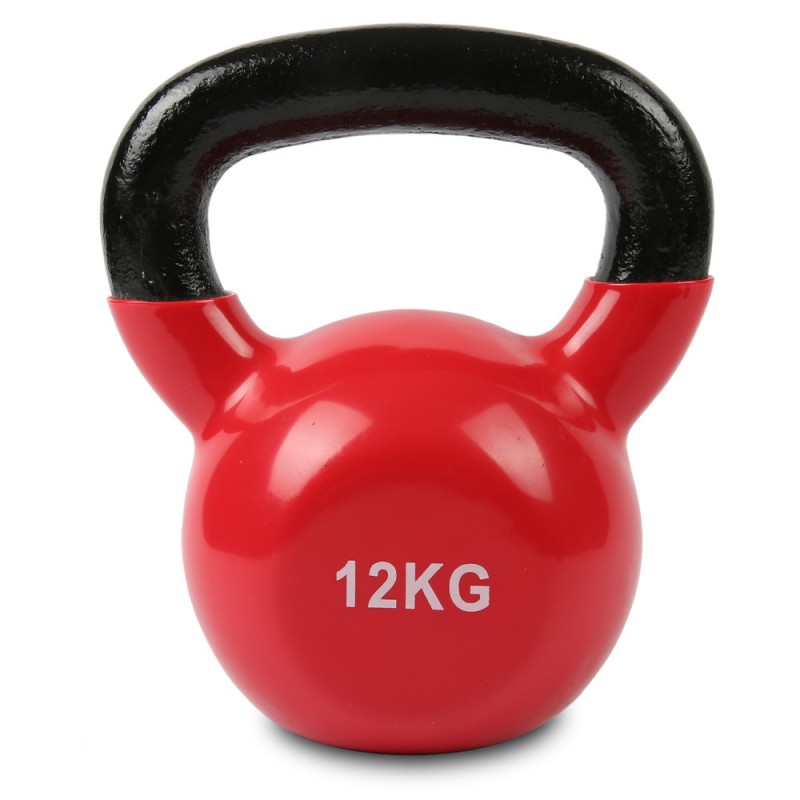 Lifespan Cortex Cast Iron Kettlebell 12kg Lifespan Cortex Cast Iron Kettlebell 12kg