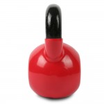 Lifespan Cortex Cast Iron Kettlebell 12kg Lifespan Cortex Cast Iron Kettlebell 12kg