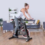 Lifespan SP-310 (M2) Spin Bike Lifespan SP-310 (M2) Spin Bike