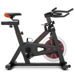Lifespan SP-310 (M2) Spin Bike Lifespan SP-310 (M2) Spin Bike