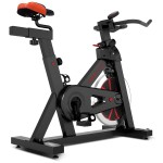 Lifespan SP-310 (M2) Spin Bike Lifespan SP-310 (M2) Spin Bike