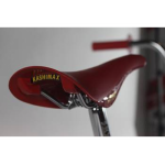 Skyway 2022 TA 20 PRO Replica BMX Bike Chrome/Red Wheel